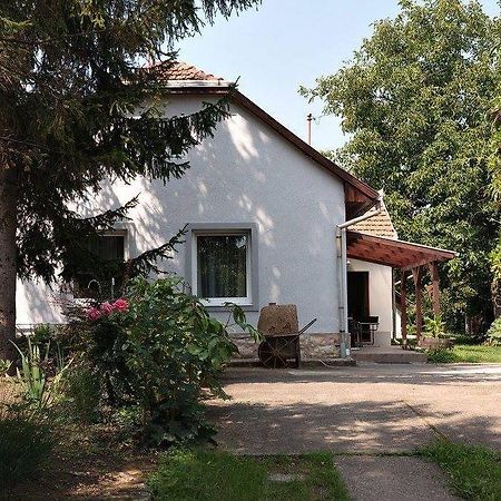 Borostyan 20 Vendeghaz Apartment Sárospatak Exterior photo